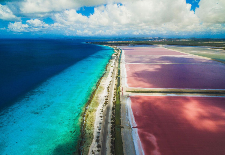 Endless Caribbean - Caribbean Getaway - Bonaire