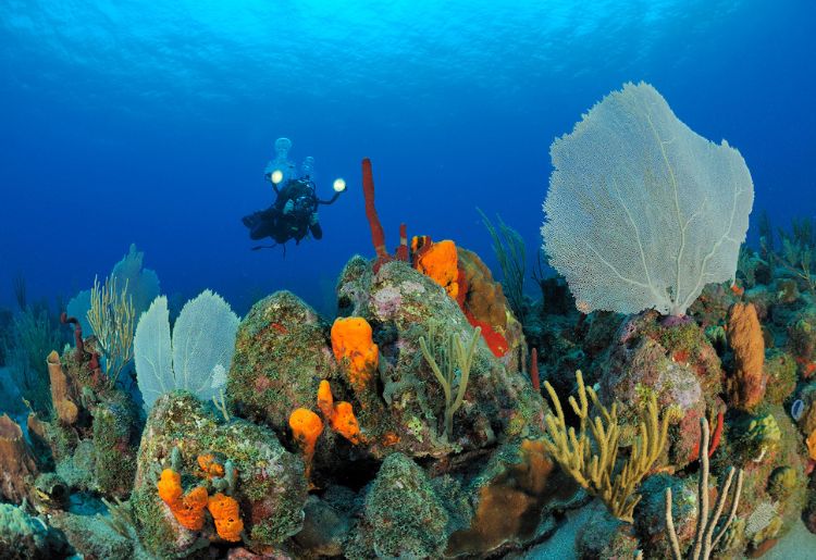 Endless Caribbean - Caribbean Getaway - St. Eustatius