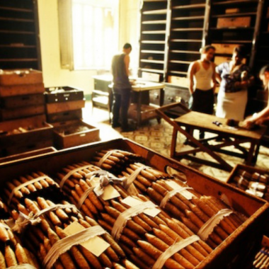 Endless Caribbean - Cuban Cigar Factory Tours