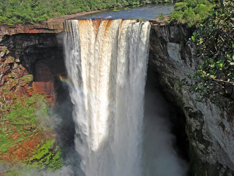 Kaieteur Falls Tours | Explore The Amazon Rainforest In Guyana