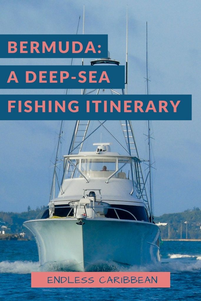 Endless Caribbean - Pinterest - Catch of a Lifetime A Bermuda Deep Sea Fishing Excursion Itinerary