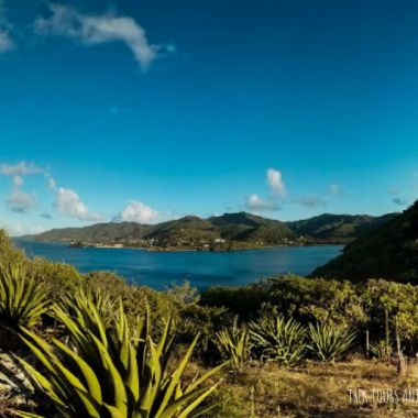 Endless Caribbean - Antigua Wins Gold at the Travel Weekly Magellan Awards