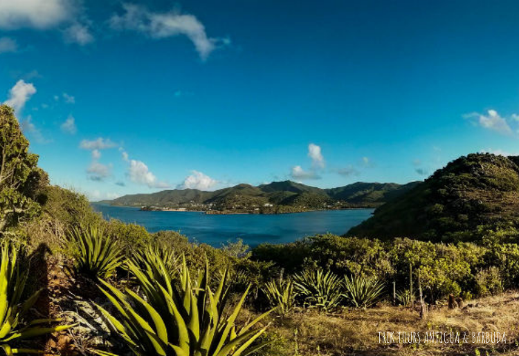 Endless Caribbean - Antigua Wins Gold at the Travel Weekly Magellan Awards