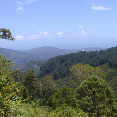 Endless Caribbean - National Parks in the Caribbean