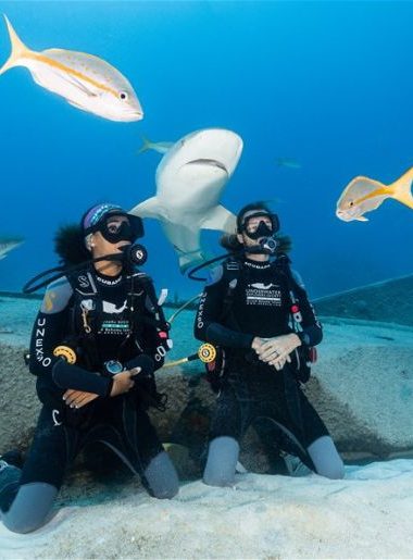 Endless Caribbean - Dive Companies in the Bahamas