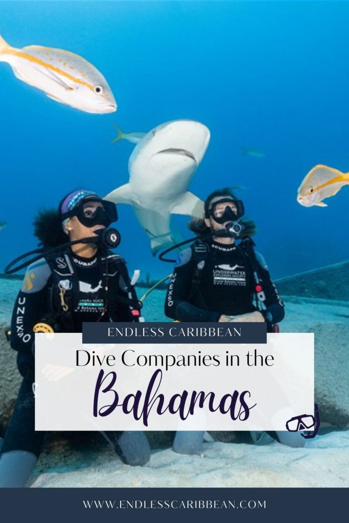 Endless Caribbean - Pinterest - Dive Companies in the Bahamas