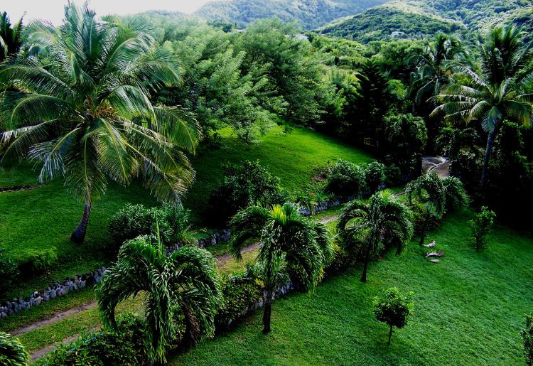 Endless Caribbean - Accommodation in Montserrat