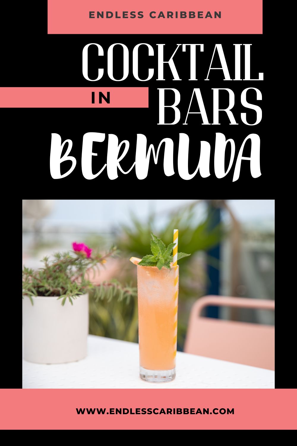 Must-Visit Cocktail Bars in Bermuda | Endless Caribbean