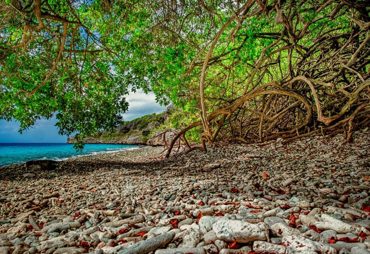 Endless Caribbean - Bonaire to Host Yoga & Wellness Festival