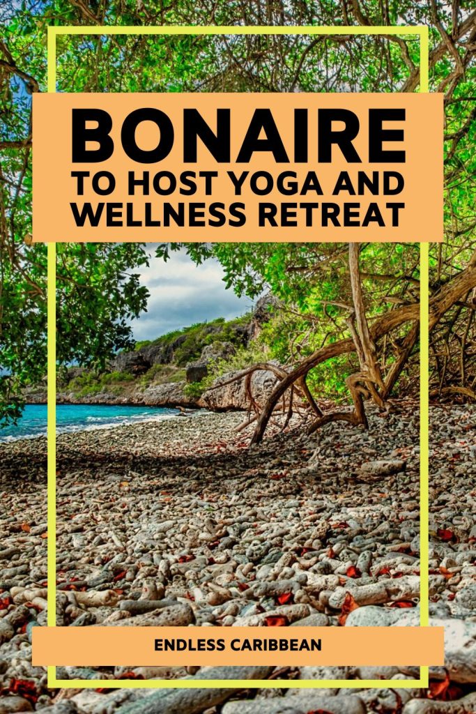 Endless Caribbean - Pinterest - Bonaire to Host Yoga & Wellness Festival