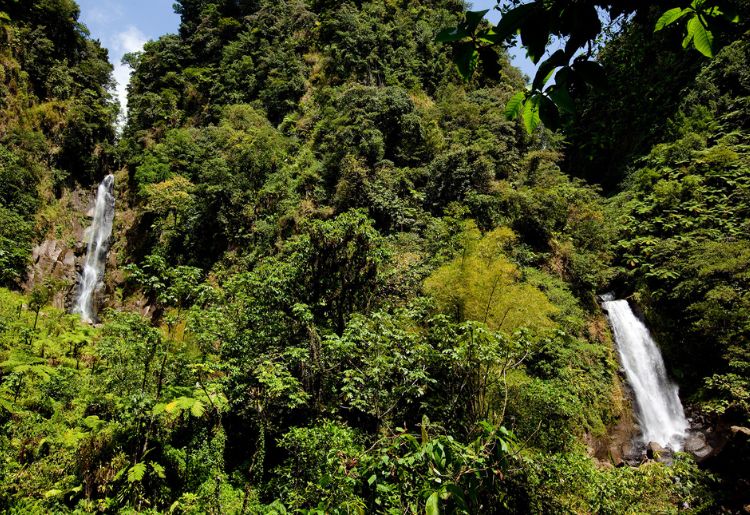 Endless Caribbean - Dominica is One of the World's Greatest Places