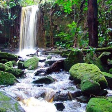 Endless Caribbean - Cycling Holiday in Suriname