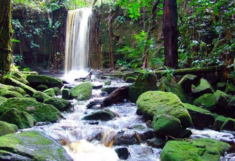 Endless Caribbean - Cycling Holiday in Suriname