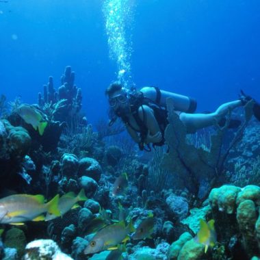 Endless Caribbean - Diving Holidays in the Turks and Caicos Islands