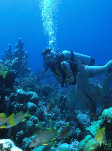 Endless Caribbean - Diving Holidays in the Turks and Caicos Islands