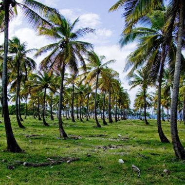 Endless Caribbean - Alphabet Travel in the Caribbean