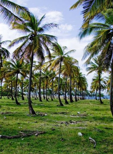 Endless Caribbean - Alphabet Travel in the Caribbean