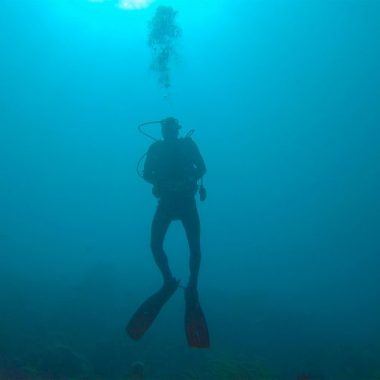 Endless Caribbean - Safety Tips for Diving in the Caribbean