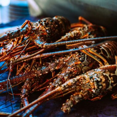 Endless Caribbean - Anegada Lobster Festival Kicks Off in November