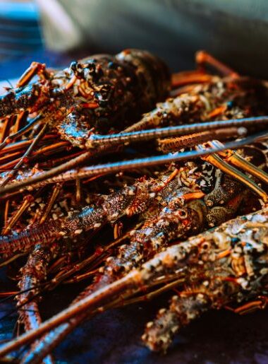 Endless Caribbean - Anegada Lobster Festival Kicks Off in November