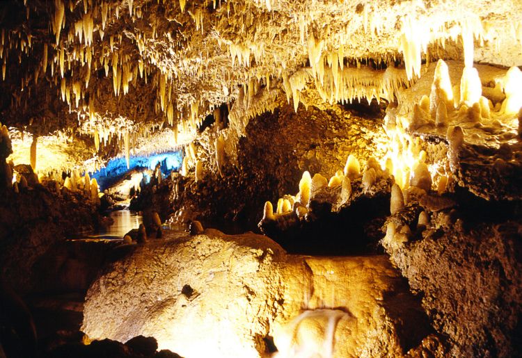 Endless Caribbean - Caving in the Caribbean