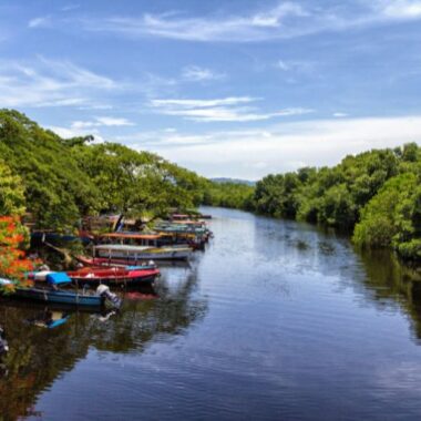 Endless Caribbean - Jamaica White Water Rafting