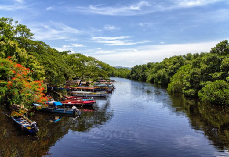 Endless Caribbean - Jamaica White Water Rafting