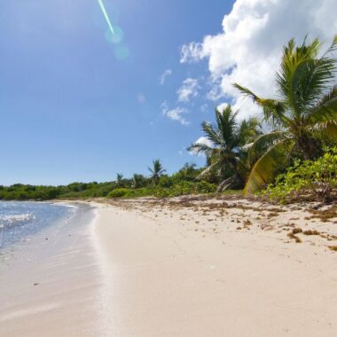 Endless Caribbean - Caribbean Travel Planner