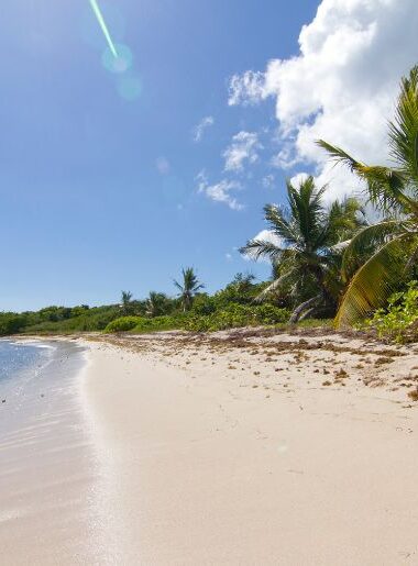 Endless Caribbean - Caribbean Travel Planner