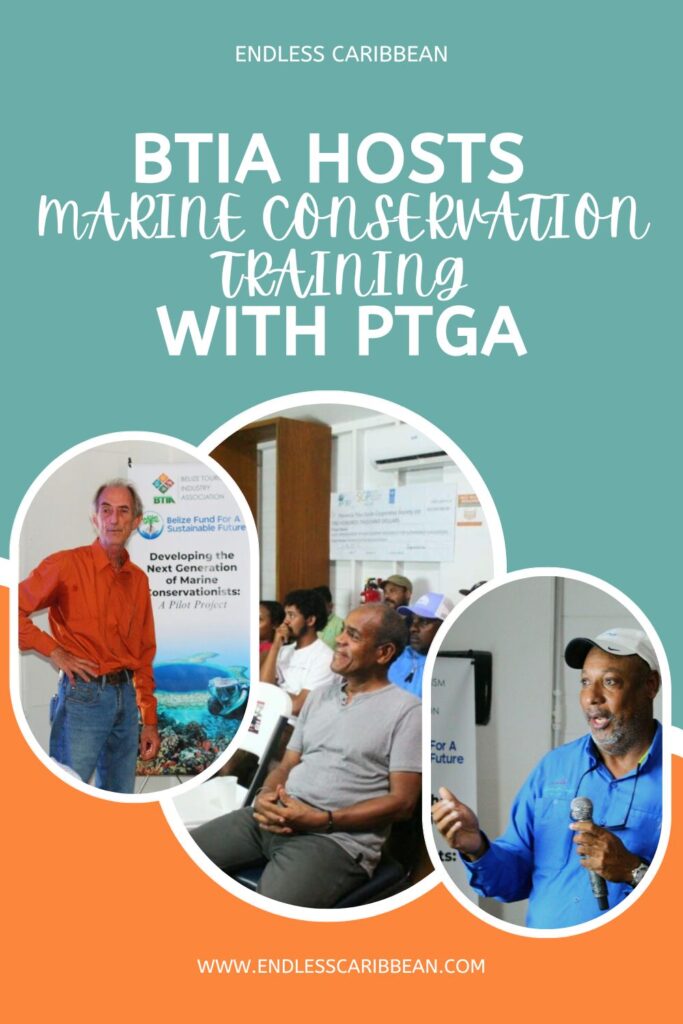 Endless Caribbean - Pinterest - BTIA Hosts Marine Conservation Training with PTGA